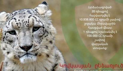 5 օրում արձանագրված 20 դեպքով հաշվարկվել է շրջակա միջավայրին հասցված 10.9 մլն դրամի չափով վնաս