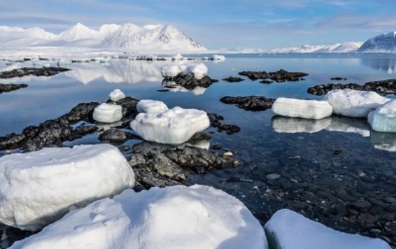 Արկտիկայում սառույցի մակերեսը ռեկորդային նվազագույնի է հասել