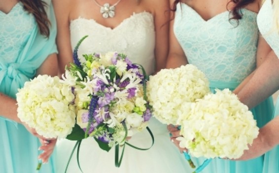 Խորվաթիայում առաջին հարսանեկան հանգստավայրն են ստեղծել