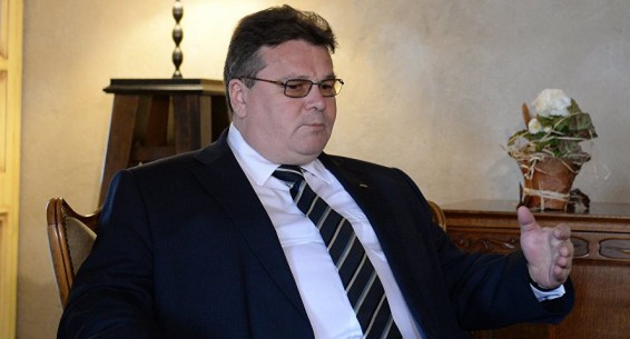 Глава МИД Литвы: Вильнюсу тяжело договориться с Минском по теме БелАЭС