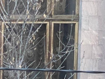 Родственник без вести пропавшего военнослужащего камнем разбил окно здания Правительства Армении