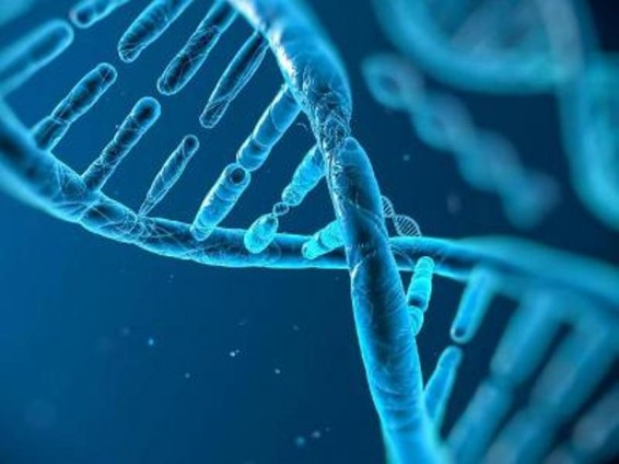 Չինաստանում գենային առաջին բանկը կբացվի