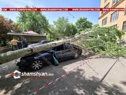 ԵՊՀ-ի բակում հսկայական բարդին արմատից պոկվել ու տապալվել է, վնասվել են BMW X3-ը, Nissan Xtrail-ը եւ Opel-ը
