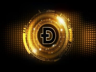 Dogecoin-ի հեղինակներից մեկն Իլոն Մասկին ինքնասիրահարված խաբեբա է անվանել