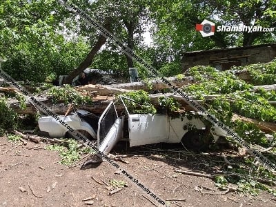 Օշականում քամու հետևանքով բարդին տապալվել է․ բակում կայանված ավտոմեքենաները մետաղե ջարդոնի են վերածվել