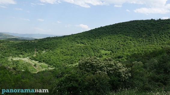 Հունիսի 5-ը Շրջակա միջավայրի համաշխարհային օրն է