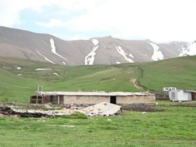 Девять азербайджанских военнослужащих украли корову и теленка у пастуха в Верин Шоржа