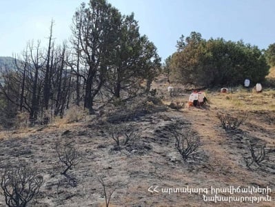 «Խոսրովի անտառ» արգելոցում բռնկված հրդեհը մեկուսացվել է. ԱԻՆ