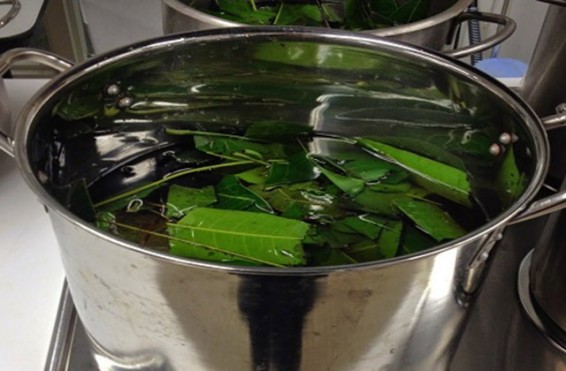 Բնական դեղամիջոց՝ շաքարախտի դեմ