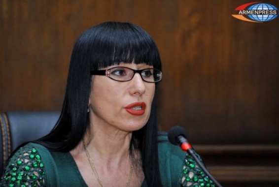 Наира Зограбян создала правозащитную общественную организацию