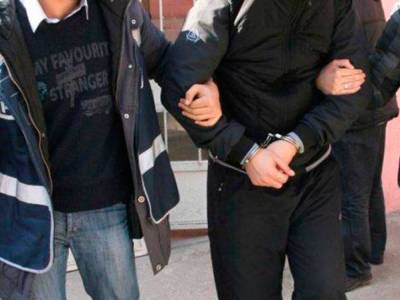 В Турции арестовали шесть человек по подозрению в поджоге лесов