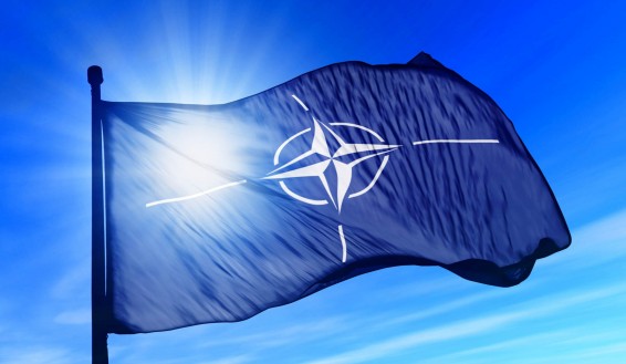Спецпредставитель генсека НАТО посетит не только Грузию, но и Азербайджан и Армению