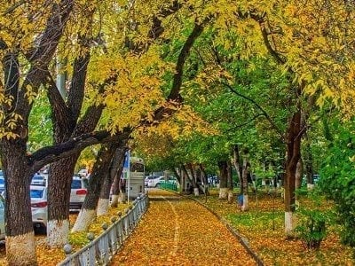 Օդի ջերմաստիճանը 25-ի ցերեկը կնվազի 3-5 աստիճանով. Եղանակը Հայաստանում