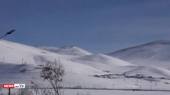 Все пастбища остались у врага, каждый день слышны выстрелы: жизнь на границе