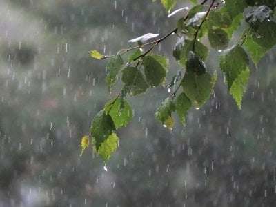 Եղանակը Հայաստանում