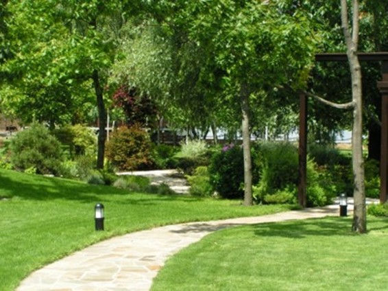 Նովոսիբիրսկում մեծահասակների համար մանկապարտեզ են բացել