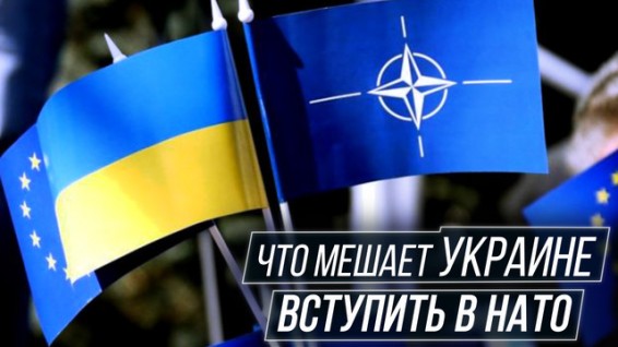 Вашингтон призвали не принимать Украину в НАТО