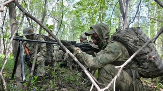 Минобороны опровергло сообщения о «больших потерях» морпехов в Павловке