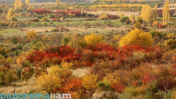 Եղանական՝ առաջիկա օրերին