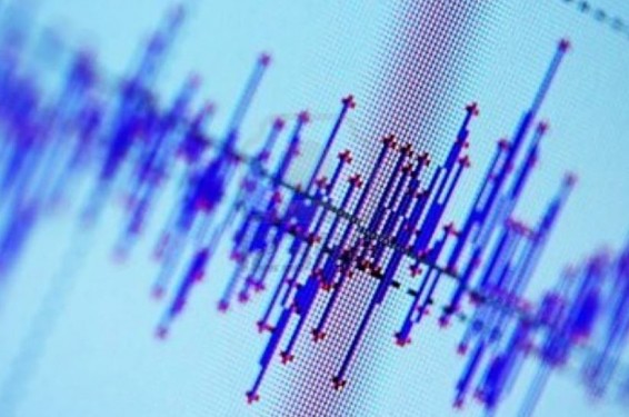 Сейсмолог оценил вероятность сильного землетрясения в Армении на фоне недавней трагедии в Турции