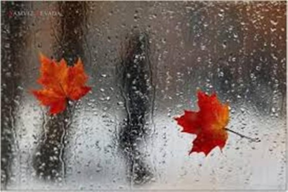 Հանրապետության ողջ տարածքում սպասվում են տեղումներ. օդի ջերմաստիճանը կնվազի 5-7 աստիճանով