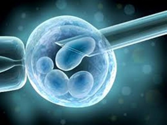 Առողջապահության համաշխարհային կազմակերպությունն անպտղությունը դասել է հաշմանդամության շարքին