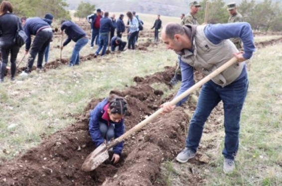 Շրջակա միջավայրի նախարարությունը գարնանային ծառատունկ է իրականացրել 4 անտառտնտեսության տարածքում