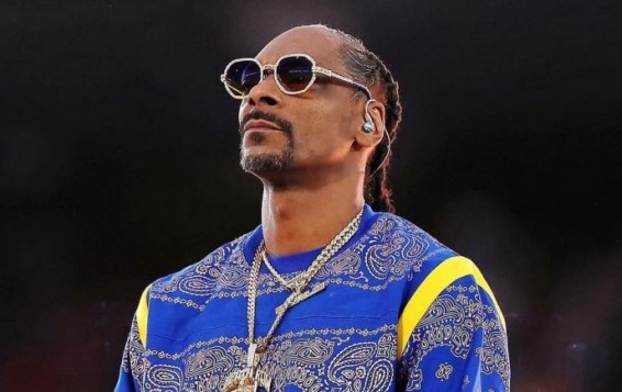 Правительство опровергает сведения о выделении $23 млн на концерт рэпера Snoop Dogg