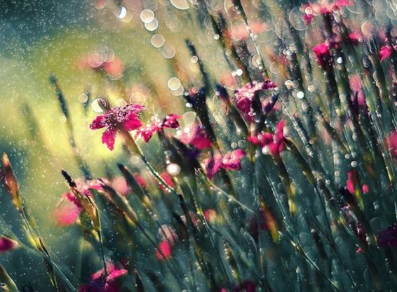 Եղանակը Հայաստանում