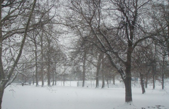 Հանրապետության տարածքում սպասվում են առատ տեղումներ, առանձին հատվածներում՝ բուք. առաջիկա 5 օրվա եղանակը