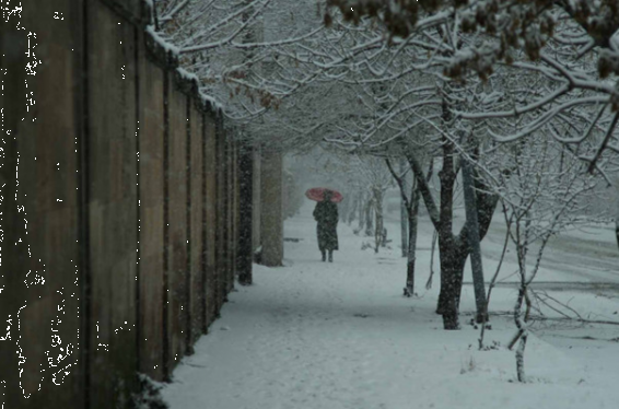 Հանրապետության տարածքում սպասվում են առատ տեղումներ, առանձին հատվածներում՝ բուք. առաջիկա 5 օրվա եղանակը