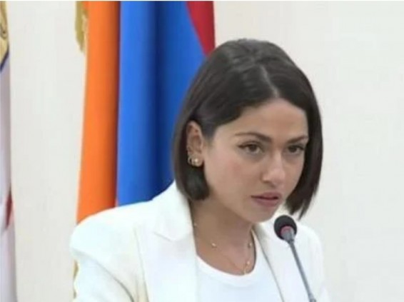 «Ժողովուրդ». Նուարդ Վարդանյանի հայտարարագրում կեղծի՞ք կա