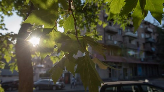 В Армении станет еще теплее - прогноз погоды на 14 марта