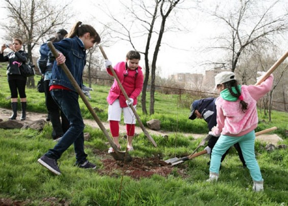 Նոյեմբերի 12-ին` համաքաղաքային ծառատունկ և շաբաթօրյակ