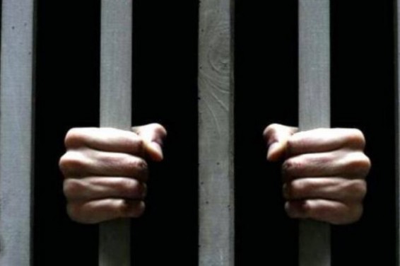 Թուրքիայի բանտերում լրագրողների թիվը հասել է 142-ի. Platform for Independent Journalism P24