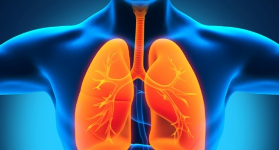 Այսօր Թոքաբորբի դեմ պայքարի համաշխարհային օրն է