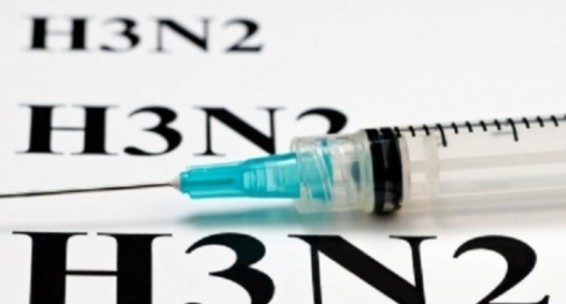 Ռուսաստանի 11 մարզերում հոնկոնգյան գրիպի շտամ է հայտնաբերվել