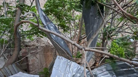 Քամու հետևանքով գրանցվել է 57 արտակարգ դեպք