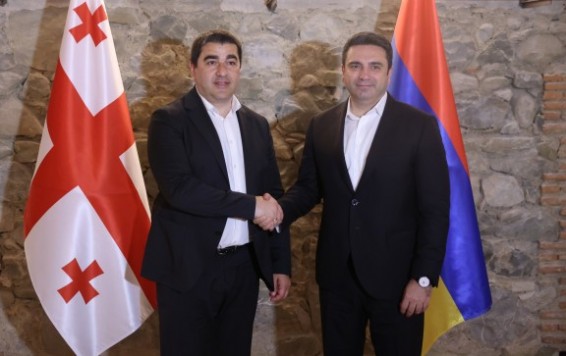 Ալեն Սիմոնյանը հանդիպել է Վրաստանի խորհրդարանի նախագահի հետ