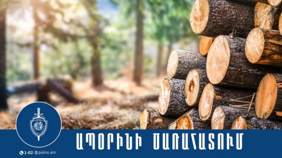 Գուգարքի համայնքային ոստիկանները ապօրինի ծառահատման դեպք են բացահայտել