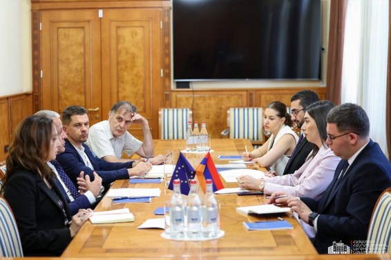 ԵՄ վիզաների ազատականացման ուղղությամբ աշխատանքներն ակտիվ շարունակվում են․ ՆԳ նախարարն ընդունել է ԵՄ պատվիրակության ղեկավարին
