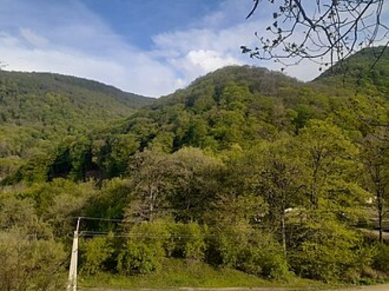 Տավուշում քաղաքացին ընկել է ձորը