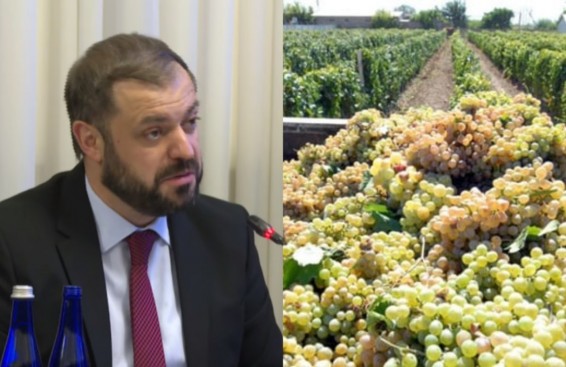 Խաղողի մթերման գործընթացը գնում է ողջ թափով. մեր գործարարների շատ մեծ տոկոսը արժանի է խորը հարգանքի. Գևորգ Պապոյան
