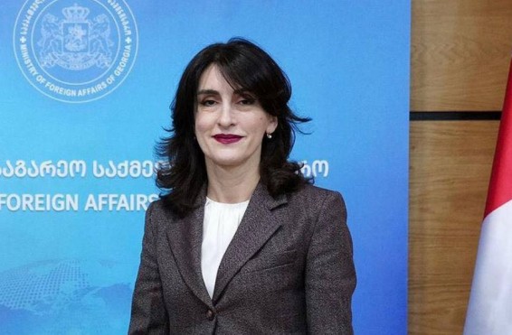 Грузия надеется на скорейшее подписание армяно-азербайджанского мирного соглашения - глава МИД