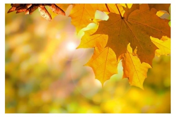 Тепло и солнечно будет в Армении до конца недели