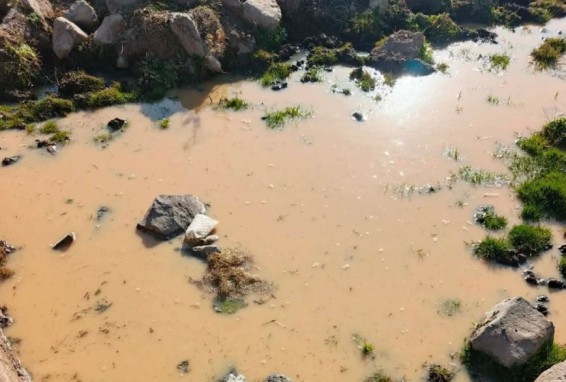 В сети появилось видео о загрязнении питьевой воды на территории Амулсарского рудника — регулятор отреагировал