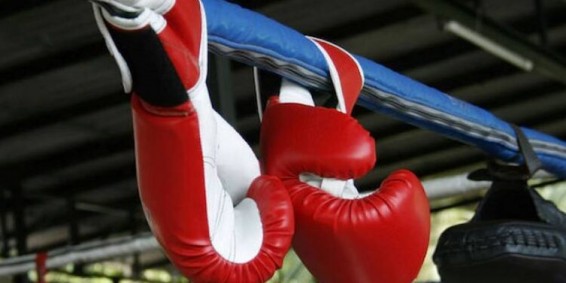 7 ոսկե, 17 արծաթե և 15 բրոնզե մեդալ՝ բռնցքամարտի մինչև 23 տարեկանների և երիտասարդների ԵԱ-ում