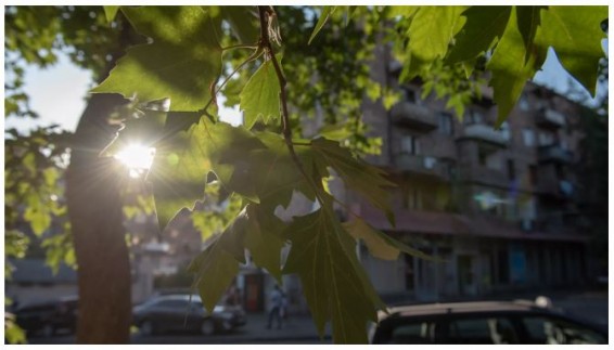 Какая погода ждет Армению в ближайшие дни - прогноз синоптиков