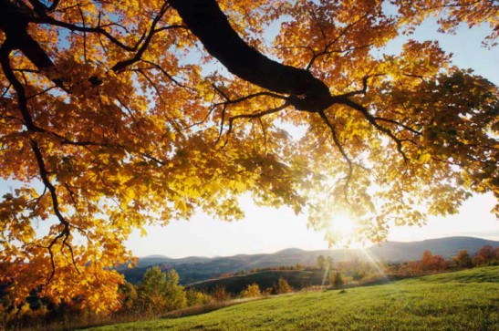 Օդի ջերմաստիճանը նոյեմբերի 15-16-ին ցերեկը կնվազի 3-5 աստիճանով