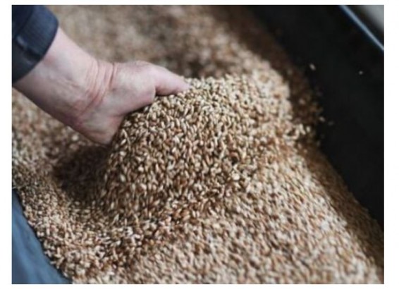 Из России в Армению была импортирована пшеница 2-го класса, а из Казахстана – 3-го класса